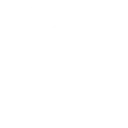 Hire .NET Developer